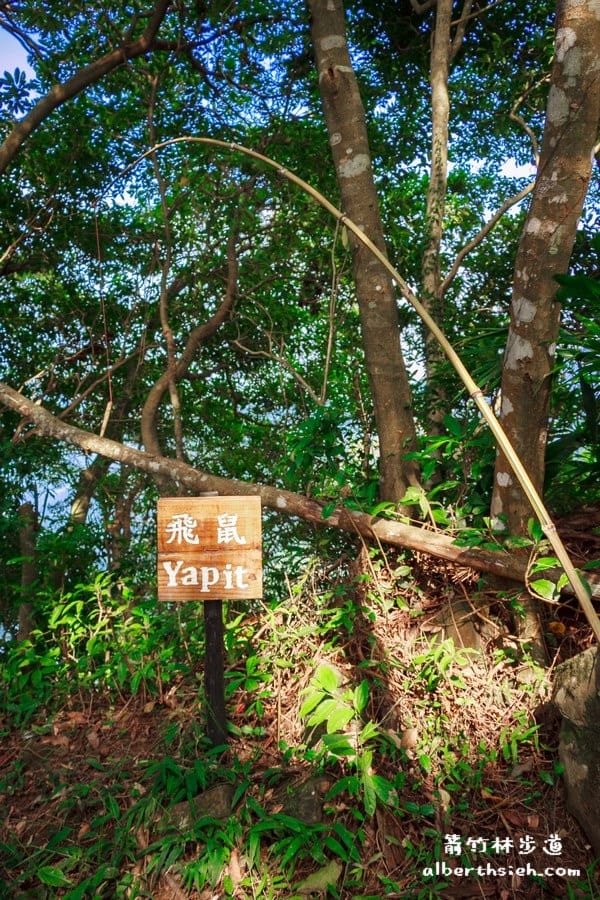 【嘎色鬧部落】桃園復興．箭竹林步道（生態植物以及狩獵體驗園區）