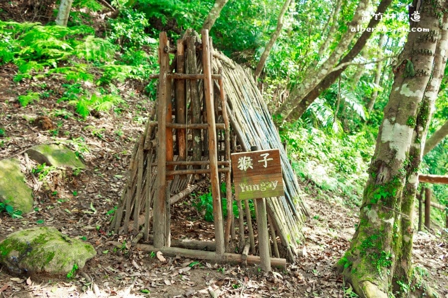 【嘎色鬧部落】桃園復興．箭竹林步道（生態植物以及狩獵體驗園區）