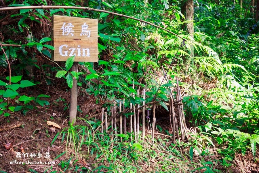 【嘎色鬧部落】桃園復興．箭竹林步道（生態植物以及狩獵體驗園區）
