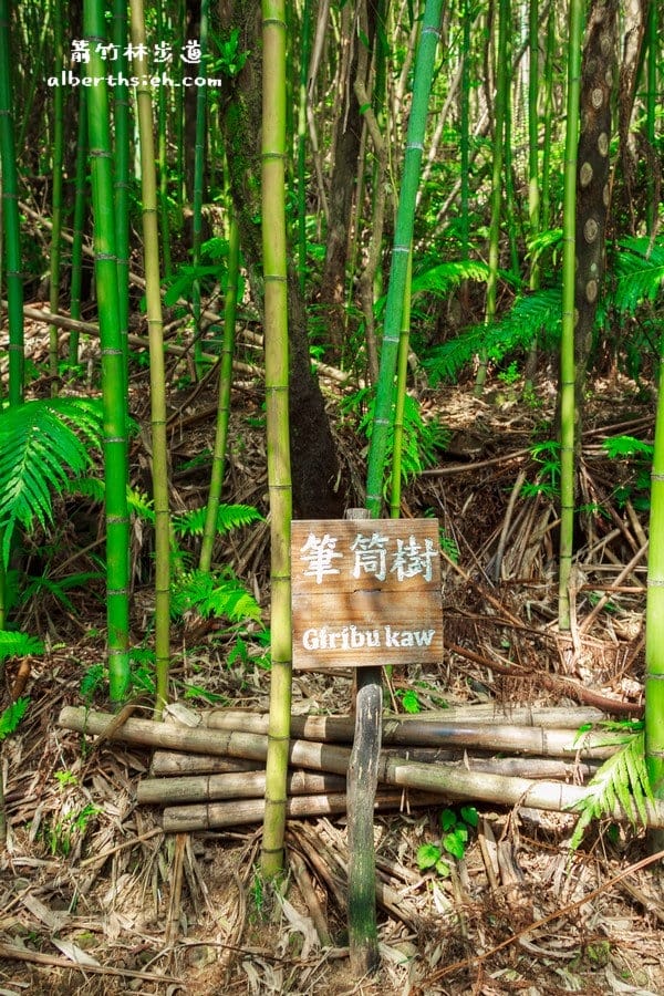 【嘎色鬧部落】桃園復興．箭竹林步道（生態植物以及狩獵體驗園區）