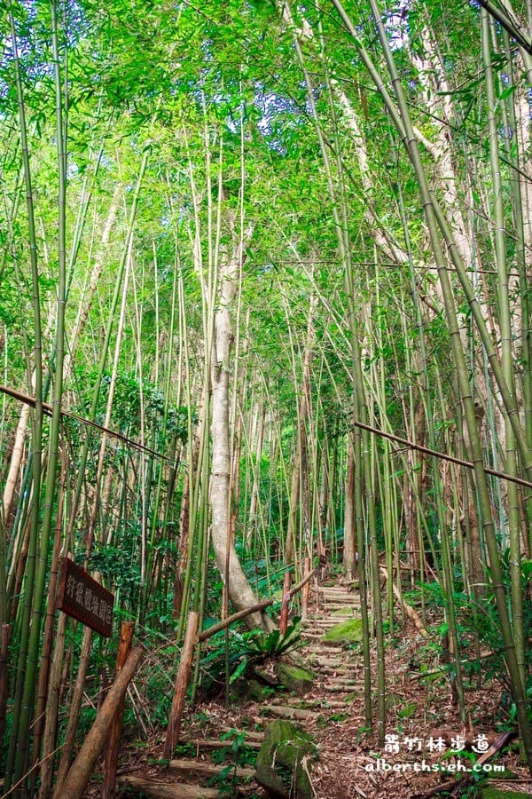 【嘎色鬧部落】桃園復興．箭竹林步道（生態植物以及狩獵體驗園區）