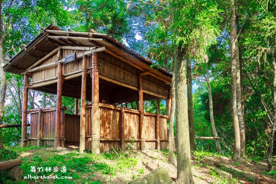 【嘎色鬧部落】桃園復興．箭竹林步道（生態植物以及狩獵體驗園區）