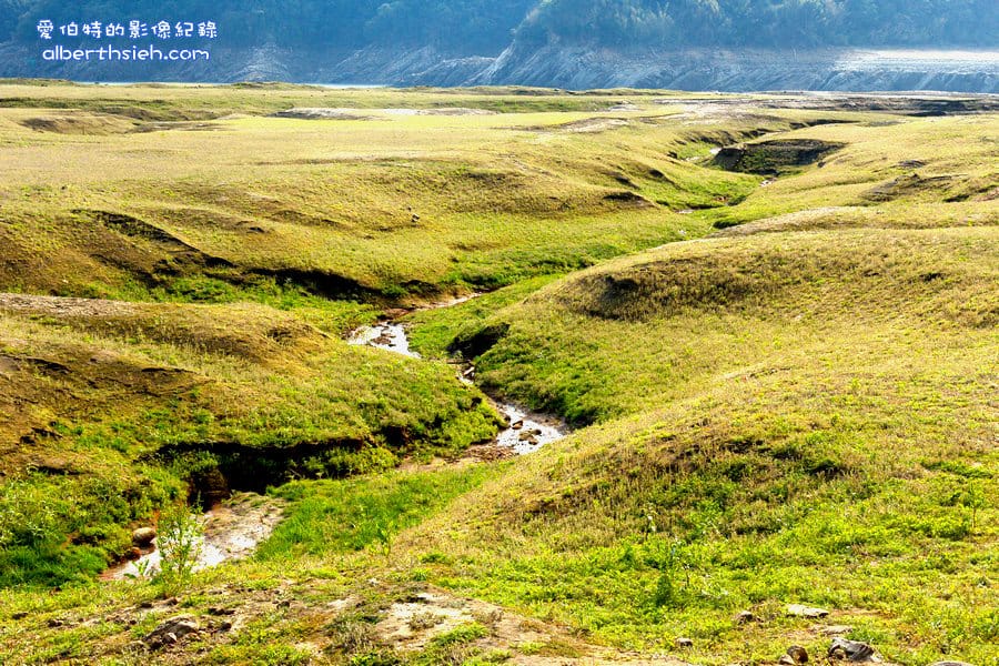 石門水庫阿姆坪土地公廟&夢幻草原．桃園大溪景點（鬧水荒造成水位見底才能看見的奇景）