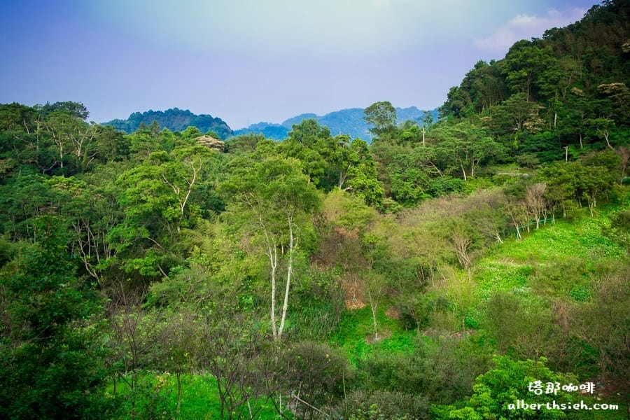 塔那咖啡．桃園復興羅馬公路（擁有原住民特色的環境以及餐點）