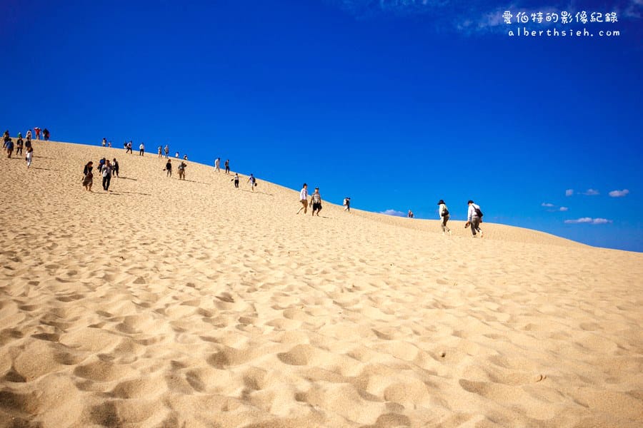 鳥取砂丘．鳥取景點自由行（令人嘆為觀止的大自然砂丘海岸）