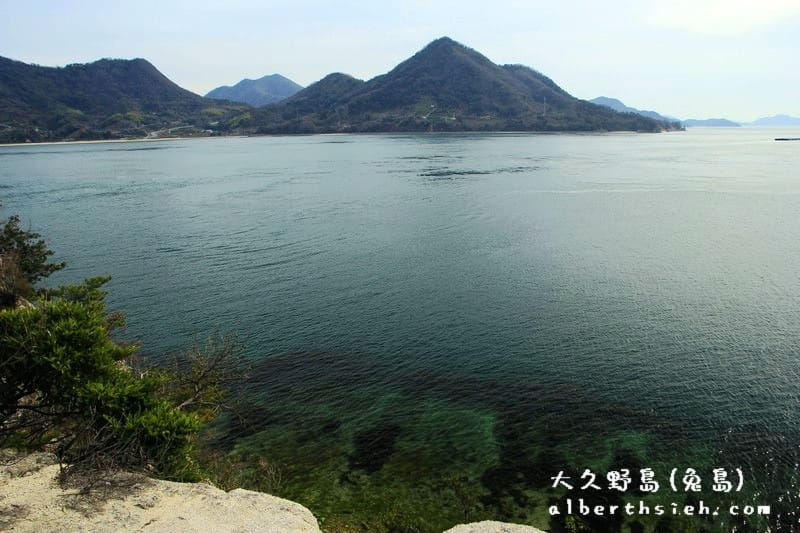 大久野島-ウサギ島．廣島竹原景點（兔島交通景點介紹）