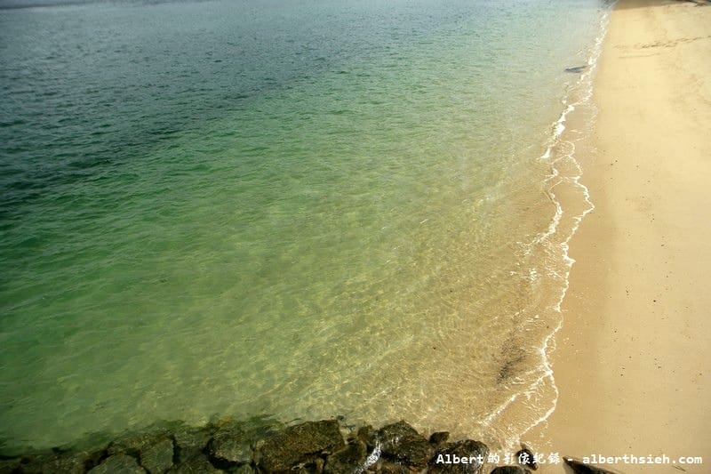 大久野島-ウサギ島(兔島)．廣島竹原景點（超多可愛兔子向你飛奔而來）