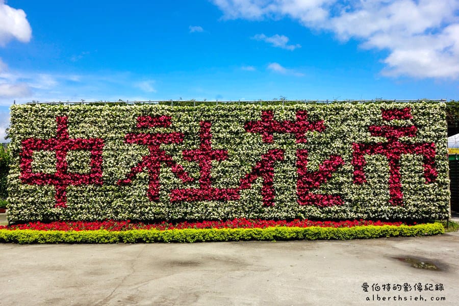 中社觀光花市．后里景點（台中的普羅旺斯美麗壯觀花海）