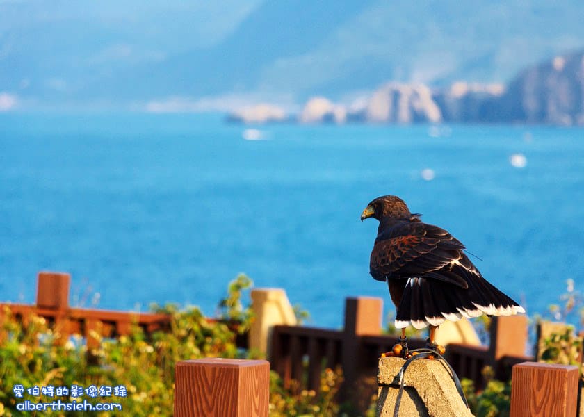 基隆中正．八斗子潮境公園（北海岸賞海景放空休閒好去處）