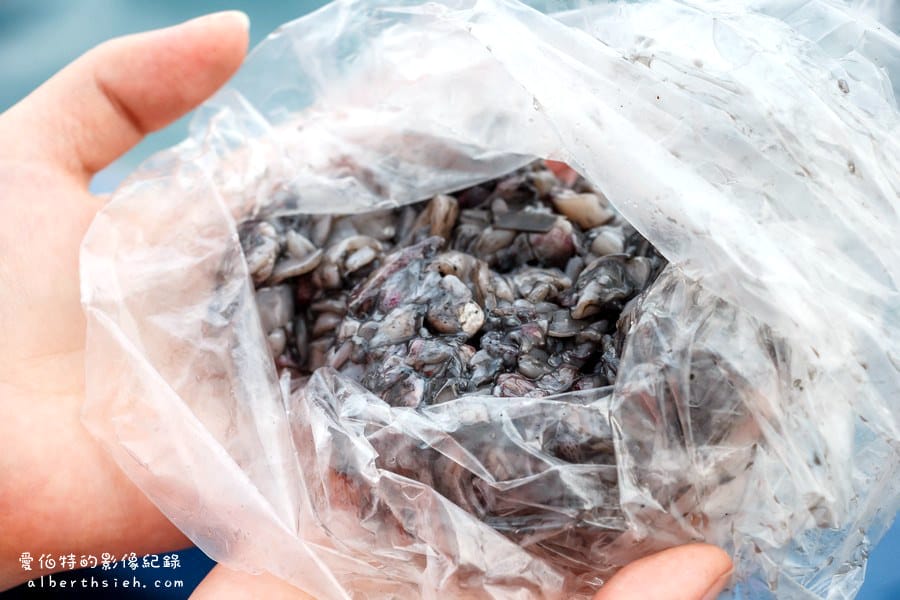 華倫六號娛樂海釣船．基隆海釣（碧砂漁港夜釣小管、白帶魚初體驗）