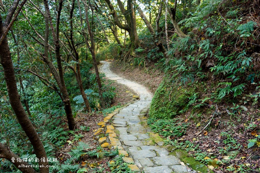 桃園大溪．齋明寺&古道（清靜莊嚴的三級古蹟古老佛寺）
