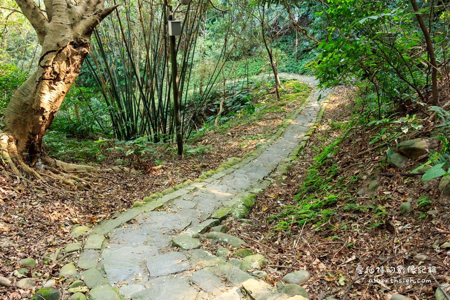 桃園大溪．齋明寺&古道（清靜莊嚴的三級古蹟古老佛寺）