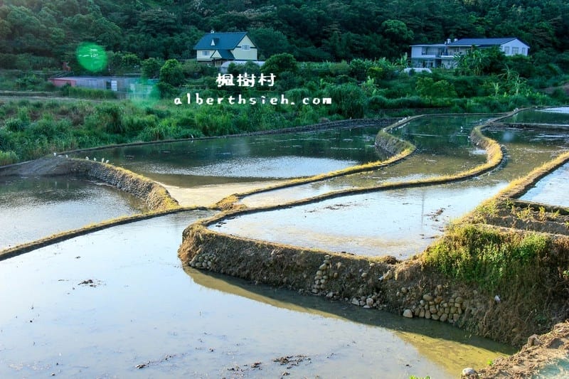 桃園龜山景點．楓樹村（楓樹坑伯朗大道之田野風光桃園版）
