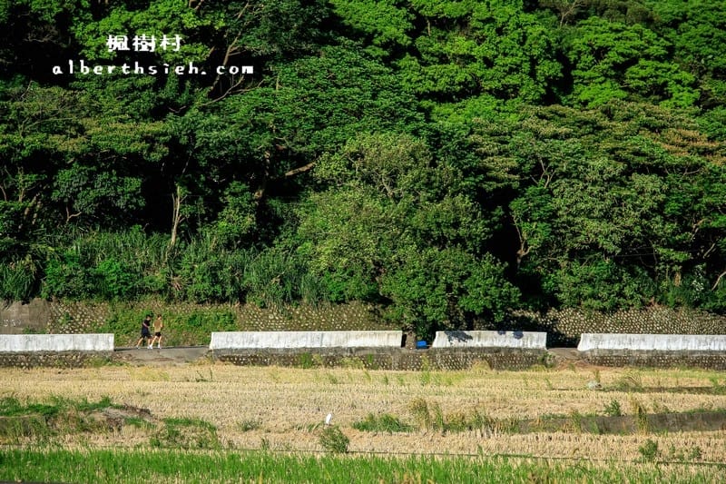 桃園龜山景點．楓樹村（楓樹坑伯朗大道之田野風光桃園版）