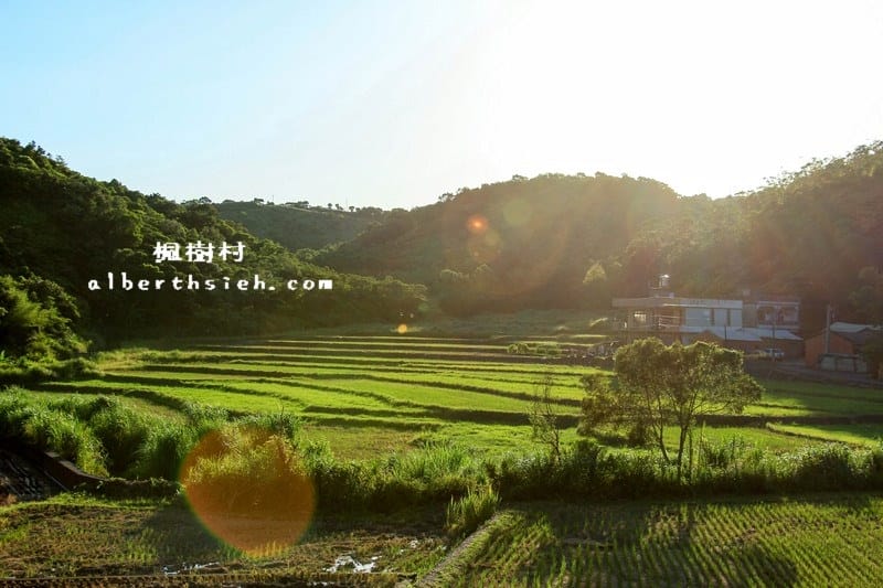 桃園龜山景點．楓樹村（楓樹坑伯朗大道之田野風光桃園版）