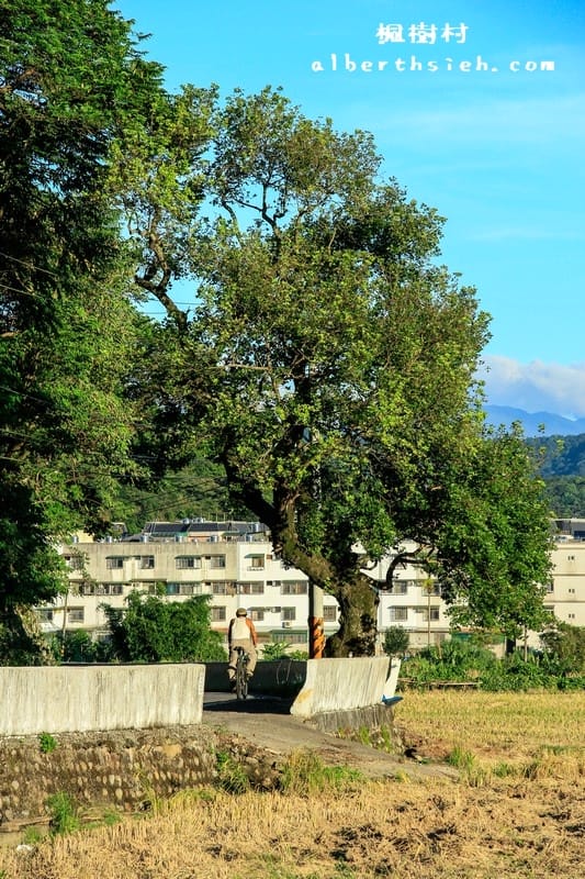 桃園龜山景點．楓樹村（楓樹坑伯朗大道之田野風光桃園版）