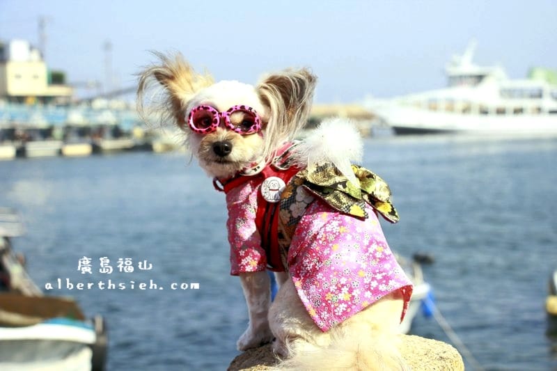 鞆之浦.廣島福山景點(有著江戶時代歷史建築痕跡的純樸小漁港) - 第23張圖 鞆之浦.廣島福山景點(有著江戶時代歷史建築痕跡的純樸小漁港)