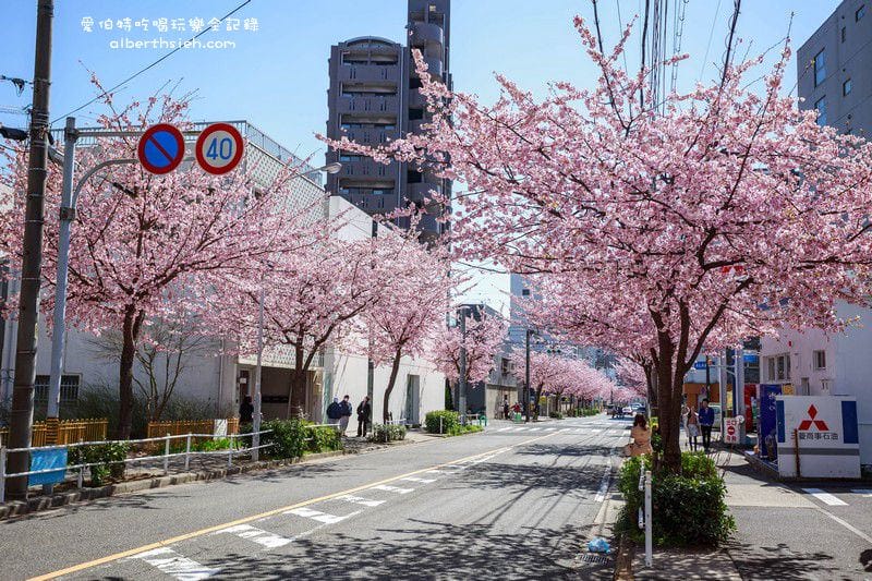 名古屋櫻花.地鐵高岳站泉二丁目(賞櫻之幸福櫻花大道) - 第17張圖 名古屋櫻花.地鐵高岳站泉二丁目(賞櫻之幸福櫻花大道)