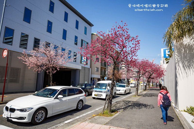 名古屋櫻花.地鐵高岳站泉二丁目(賞櫻之幸福櫻花大道) - 第9張圖 名古屋櫻花.地鐵高岳站泉二丁目(賞櫻之幸福櫻花大道)