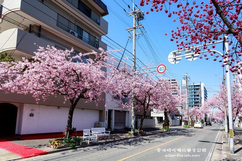 名古屋櫻花.地鐵高岳站泉二丁目(賞櫻之幸福櫻花大道) - 第15張圖 名古屋櫻花.地鐵高岳站泉二丁目(賞櫻之幸福櫻花大道)