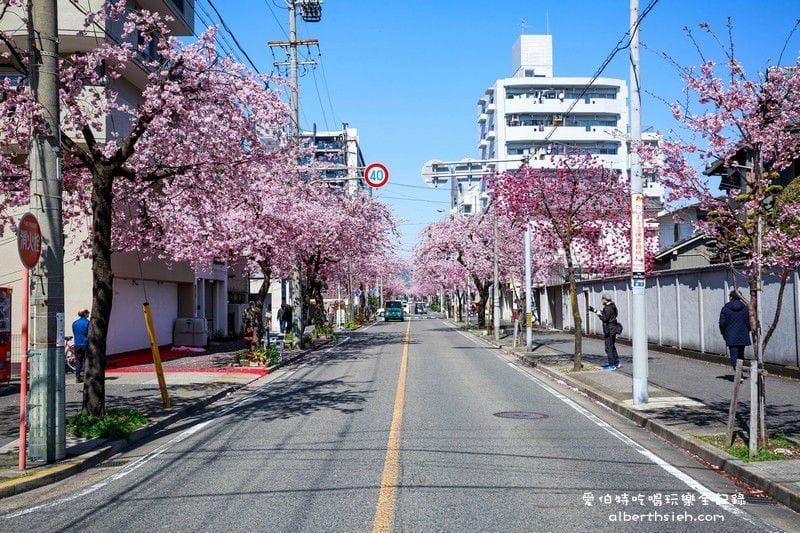 名古屋櫻花.地鐵高岳站泉二丁目(賞櫻之幸福櫻花大道) - 第10張圖 名古屋櫻花.地鐵高岳站泉二丁目(賞櫻之幸福櫻花大道)