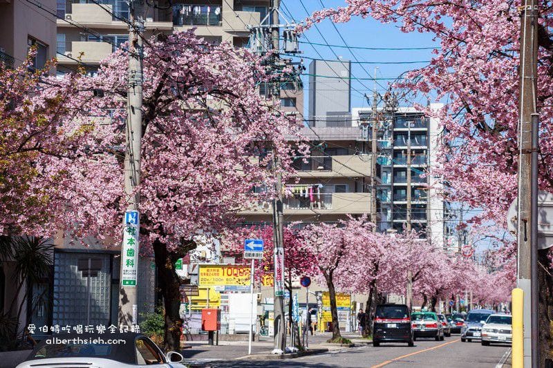 名古屋櫻花.地鐵高岳站泉二丁目(賞櫻之幸福櫻花大道) - 第7張圖 名古屋櫻花.地鐵高岳站泉二丁目(賞櫻之幸福櫻花大道)