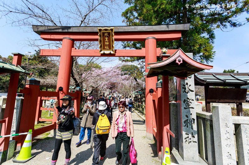 冰室神社．奈良必去景點（美麗的大枝垂櫻之櫻花瀑布）