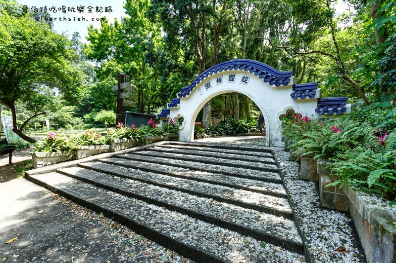 虎頭山公園．桃園親子景點（桃園的後花園運動健身賞桐花）