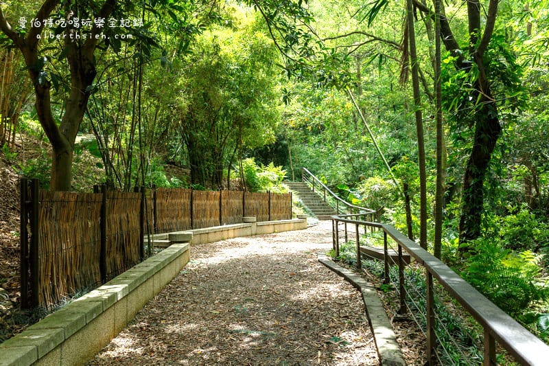 虎頭山公園．桃園親子景點（桃園的後花園運動健身賞桐花）