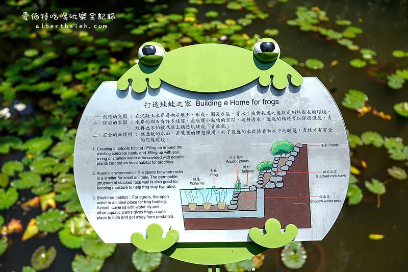 桃園親子景點．虎頭山奧爾森林學堂（有樹屋有遊樂設施小朋友超愛）
