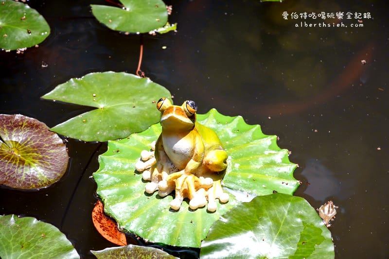 桃園親子景點．虎頭山奧爾森林學堂（有樹屋有遊樂設施小朋友超愛）