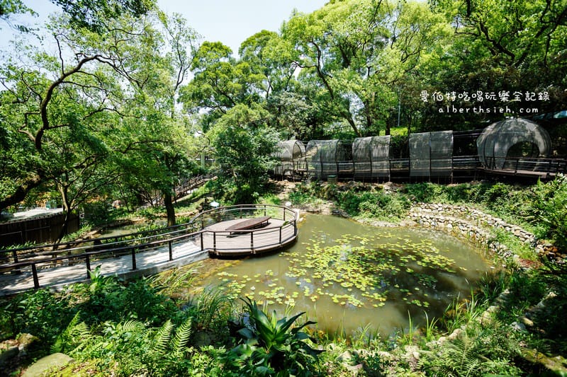 桃園親子景點．虎頭山奧爾森林學堂（有樹屋有遊樂設施小朋友超愛）