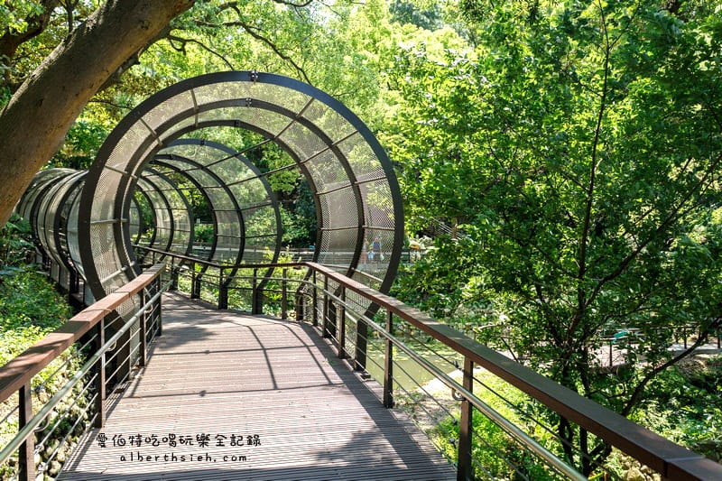 桃園親子景點．虎頭山奧爾森林學堂（有樹屋有遊樂設施小朋友超愛）