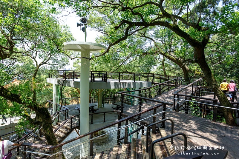 桃園親子景點．虎頭山奧爾森林學堂（有樹屋有遊樂設施小朋友超愛）