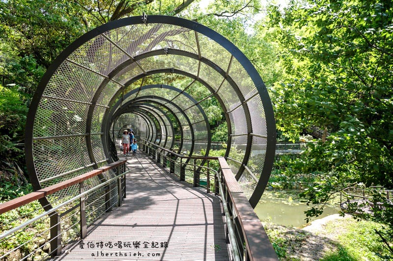 桃園親子景點．虎頭山奧爾森林學堂（有樹屋有遊樂設施小朋友超愛）