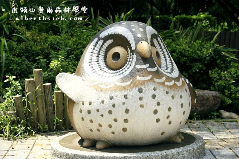 桃園親子景點．虎頭山奧爾森林學堂（有樹屋有遊樂設施小朋友超愛）