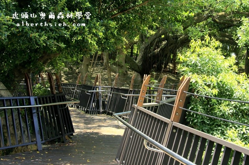 桃園親子景點．虎頭山奧爾森林學堂（有樹屋有遊樂設施小朋友超愛）