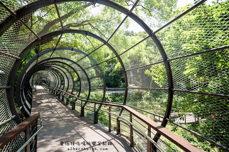 桃園親子景點．虎頭山奧爾森林學堂（有樹屋有遊樂設施小朋友超愛）