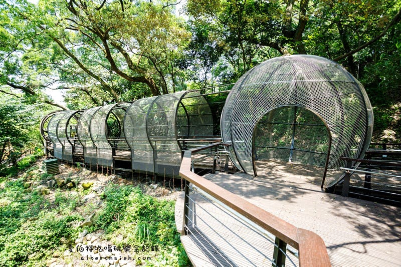 桃園親子景點．虎頭山奧爾森林學堂（有樹屋有遊樂設施小朋友超愛）