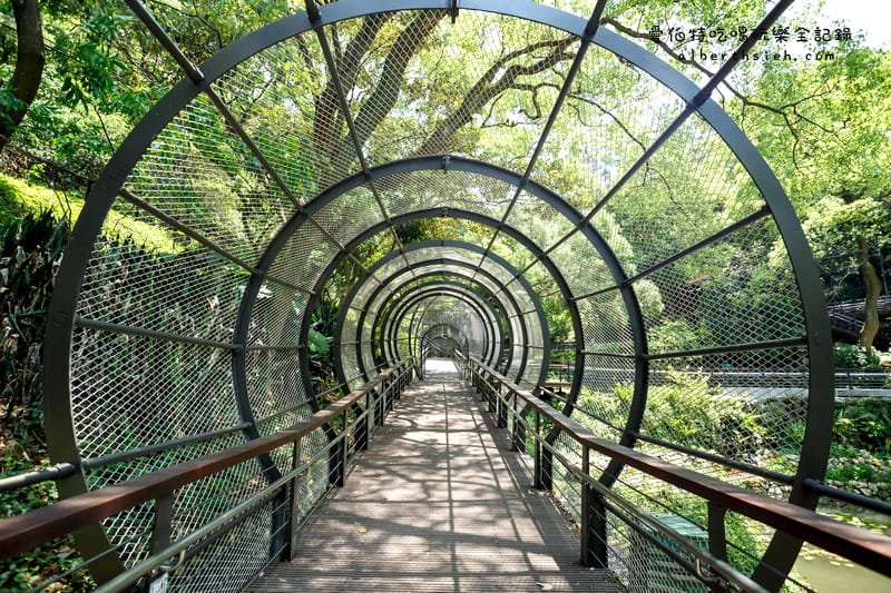 桃園親子景點．虎頭山奧爾森林學堂（有樹屋有遊樂設施小朋友超愛）