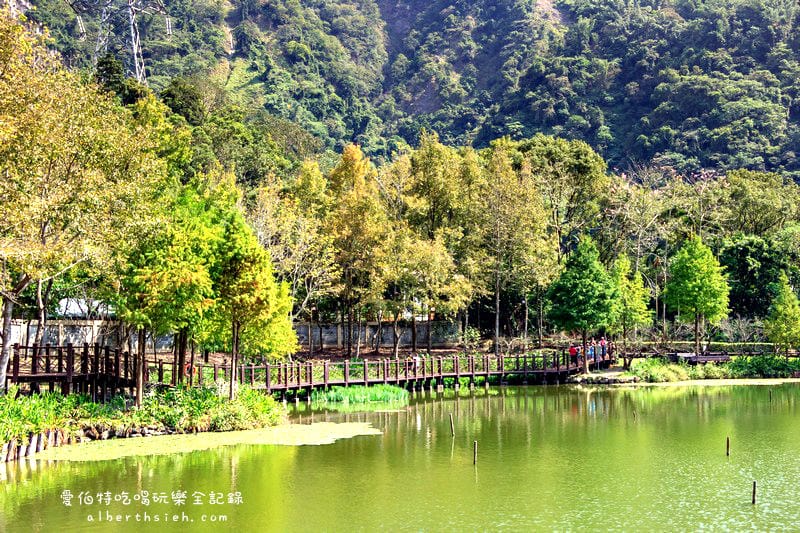 南投水里.車埕半日遊(被遺忘的山中小鎮鐵道懷舊放鬆之旅) - 第32張圖 南投水里.車埕半日遊(被遺忘的山中小鎮鐵道懷舊放鬆之旅)