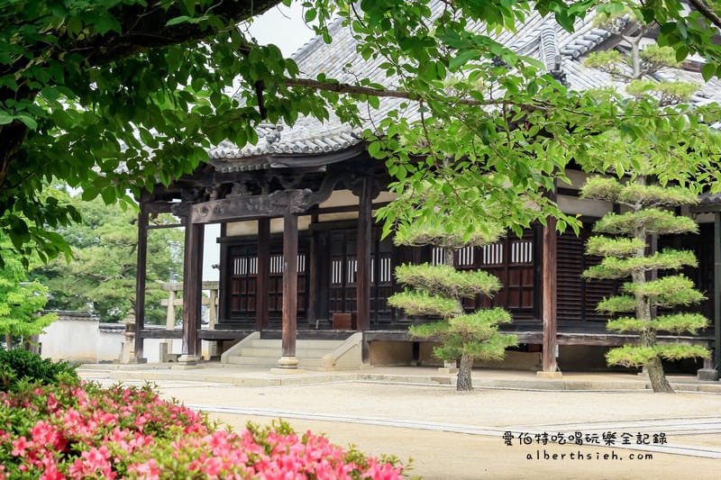 倉敷美觀地區｜日本岡山景點，夜景超美，江戶時代悠閒美麗景致