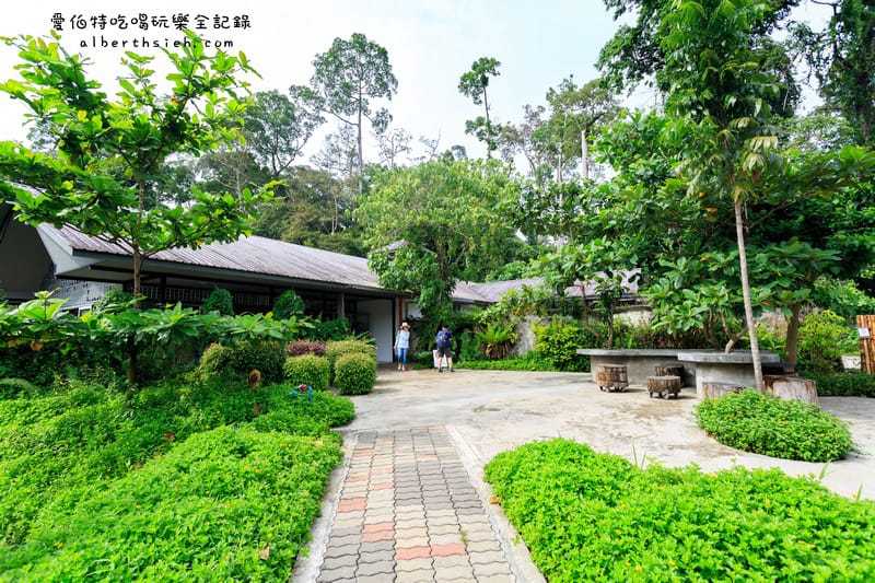 馬來西亞沙巴景點．山打根：馬來熊保育中心（跟台灣黑熊一樣呆萌可愛）