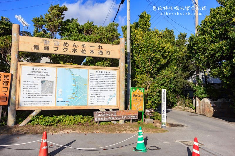 備瀨福木林道．沖繩景點（樸實而寧靜的福木樹蔭林道）