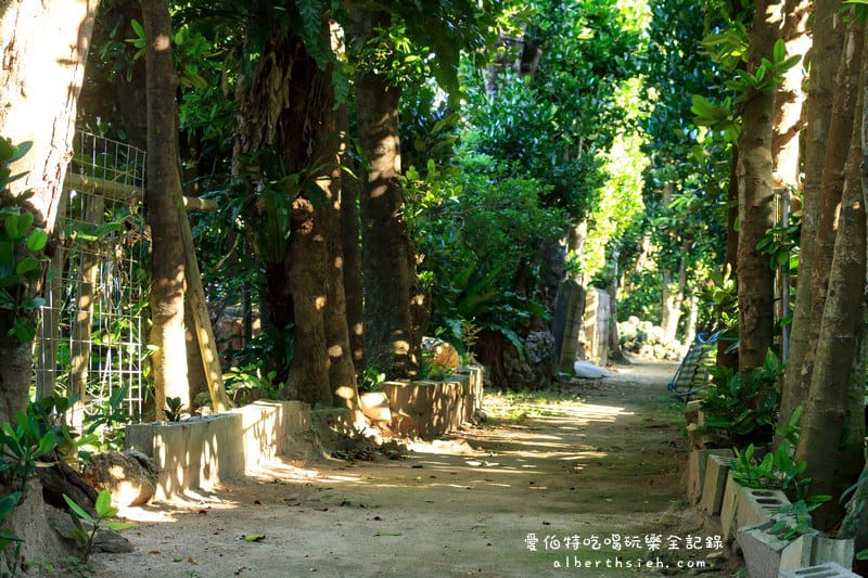 備瀨福木林道．沖繩景點（樸實而寧靜的福木樹蔭林道）