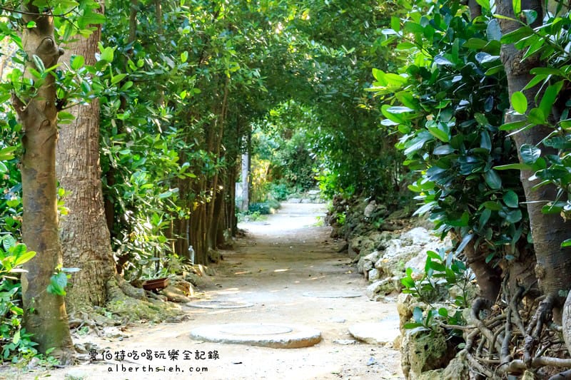 備瀨福木林道．沖繩景點（樸實而寧靜的福木樹蔭林道）