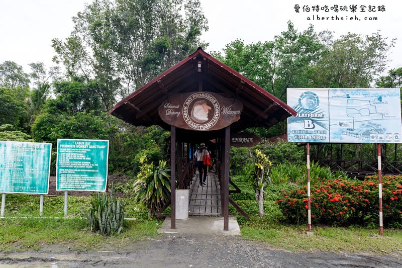 馬來西亞沙巴景點．山打根：拉卜灣長鼻猴保護區（18禁之野外實境秀）