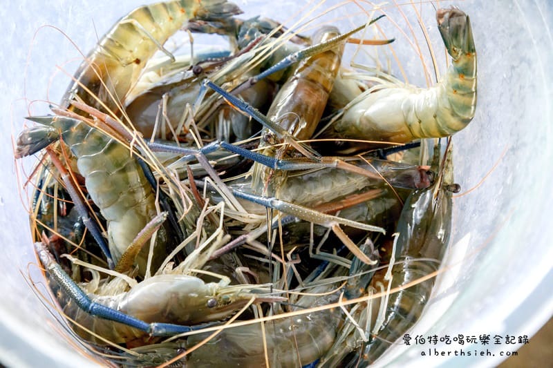桃園八德．熊大釣蝦場（環境舒適的親子活動新去處）