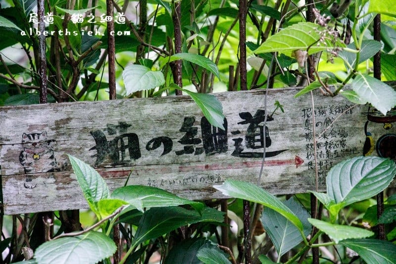 廣島景點美食交通住宿自由行懶人包（世界遺產之旅-17個景點-14家美食）