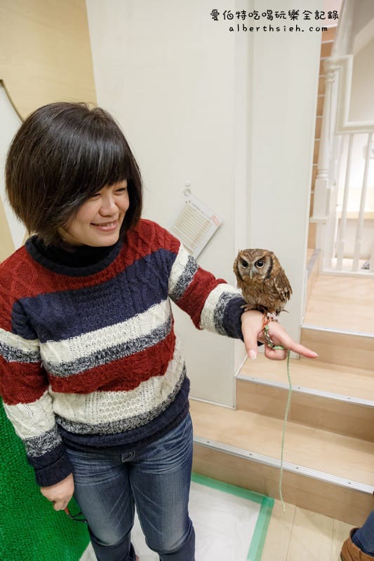 九州福岡必去．OWL Family 貓頭鷹咖啡廳（超療癒超萌可愛值爆表）